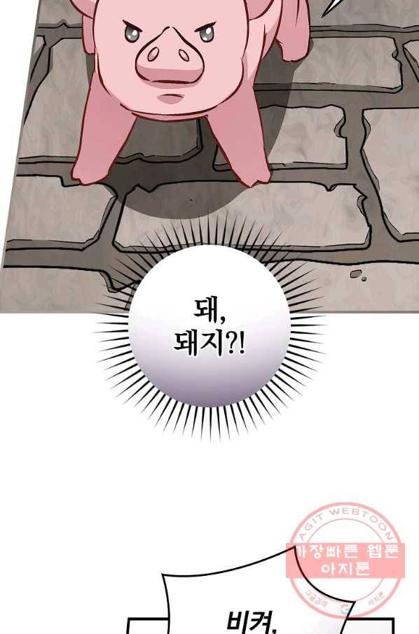 밥만 먹고 레벨업 79화 43