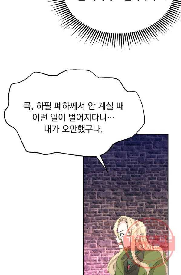 파멸의 공주님 19화 65