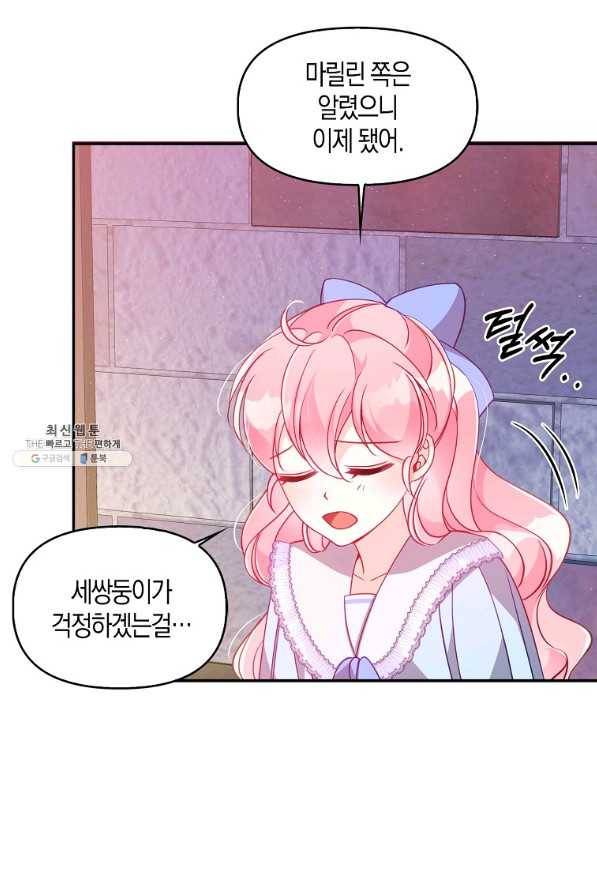 악당 대공님의 귀하디귀한 여동생 43화 14
