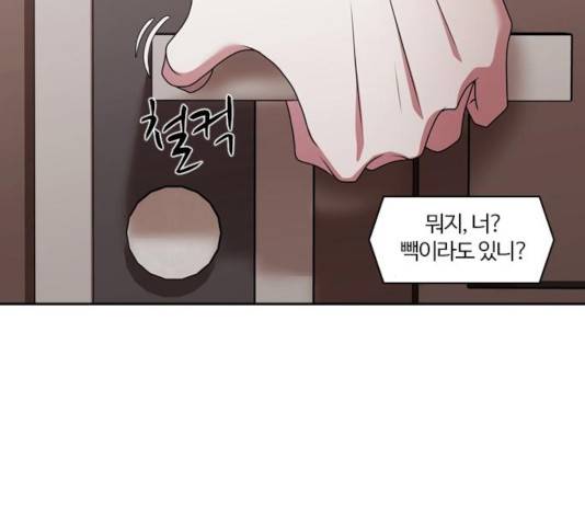 내일 216화 4