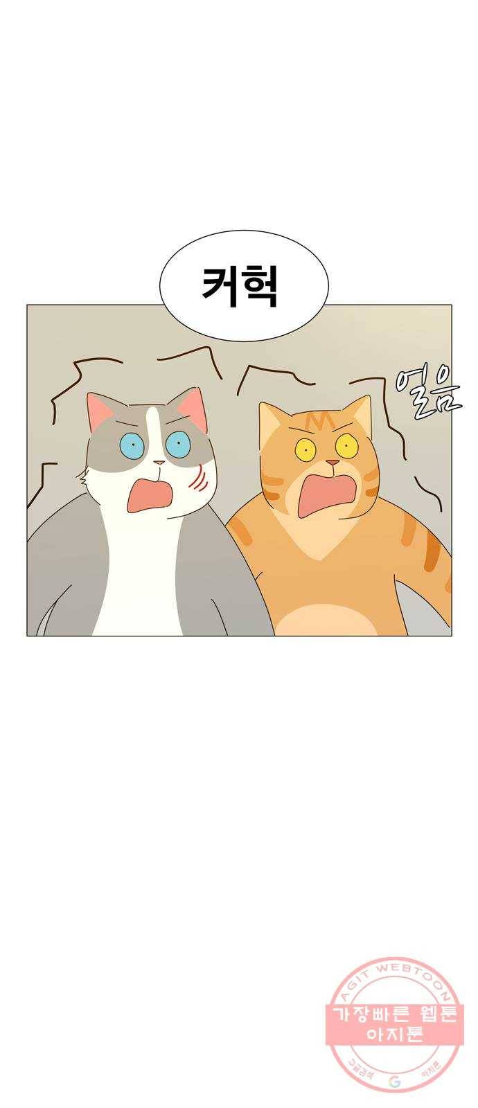 야생천사 보호구역 29화 지켜줄게 5