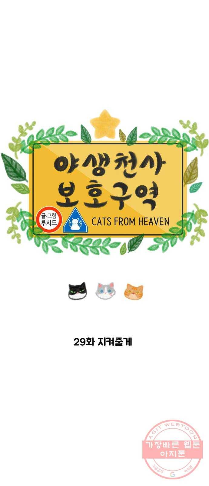 야생천사 보호구역 29화 지켜줄게 6