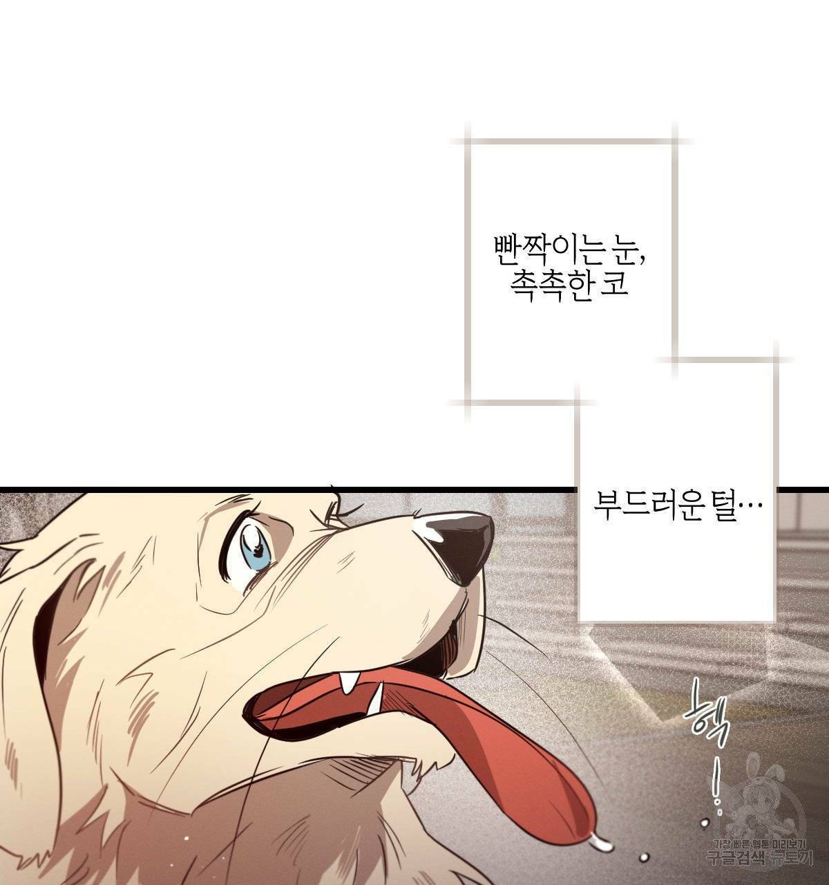 미필적 고의에 의한 연애사 14화 11