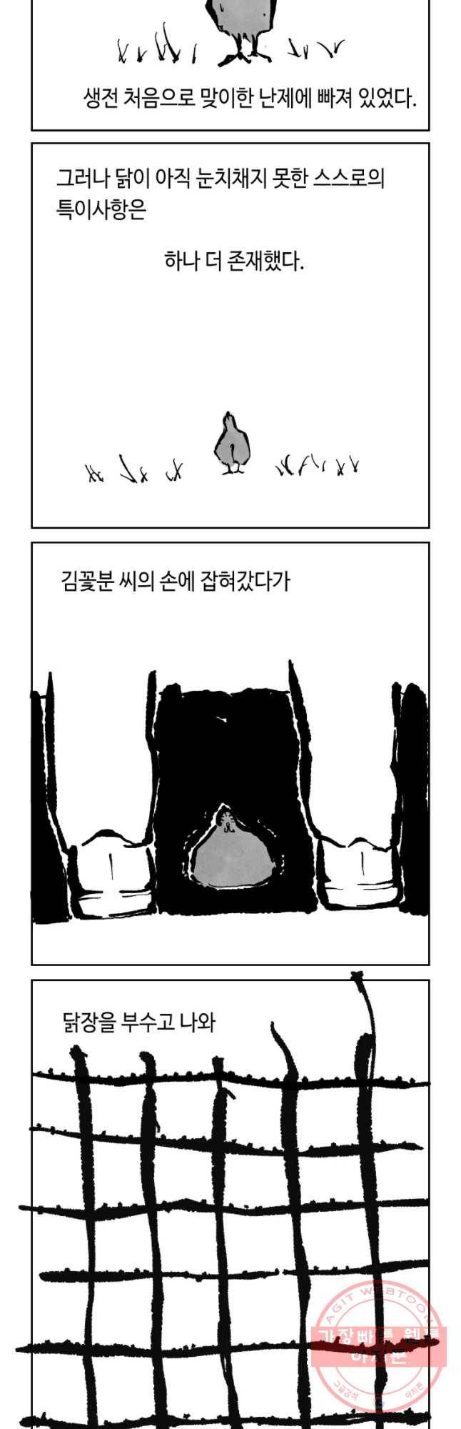 닭은 의외로 위대하다 6.마지막 인사 10 8