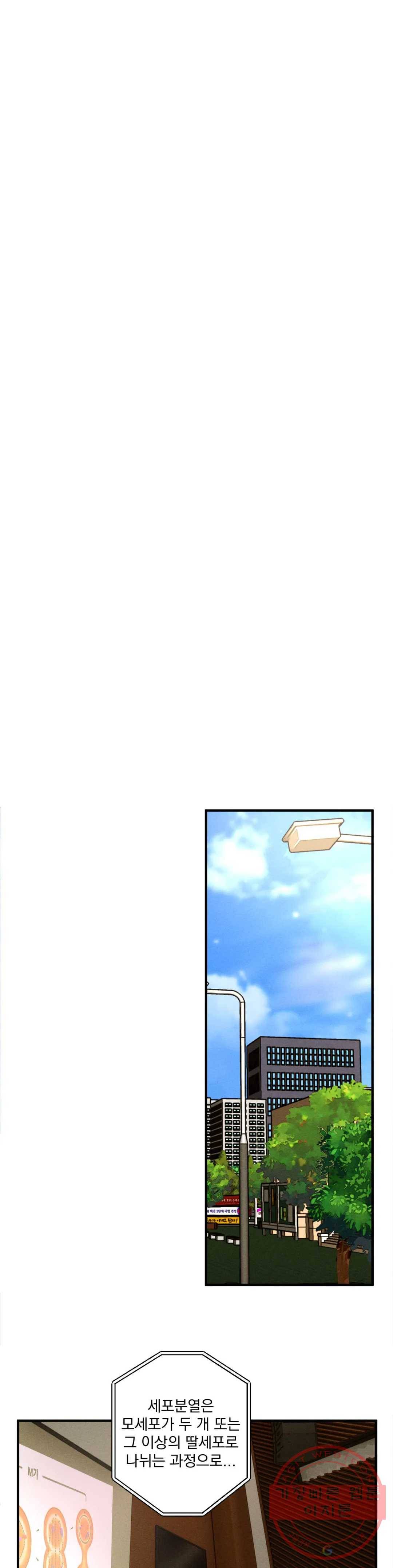 더블트랩 9화 12