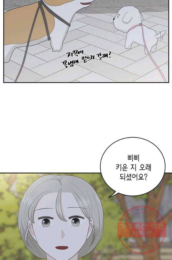 샐러드 데이즈 - 37화 46