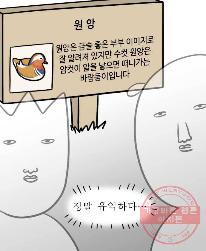 독립일기 시즌2 6화 수목원 17