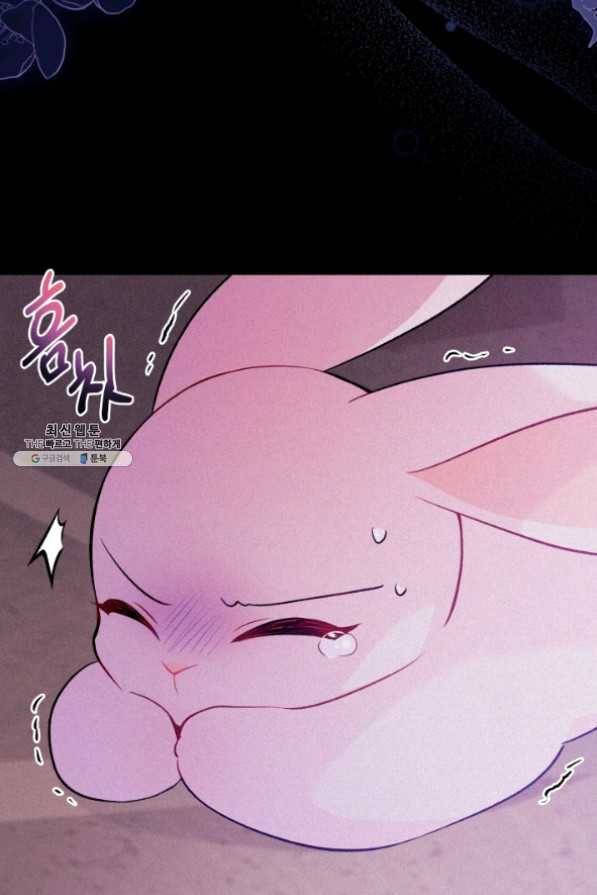 토끼와 흑표범의 공생관계 39화 14