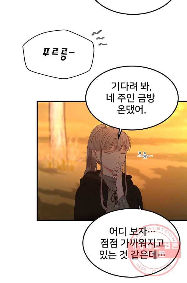 램프의 아미나 95화 9