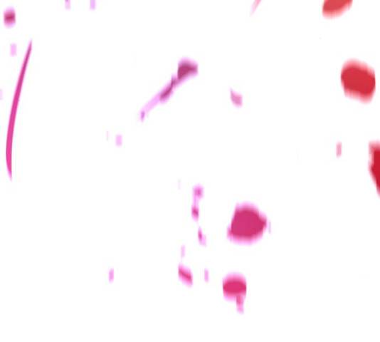 화이트 블러드 90화 20