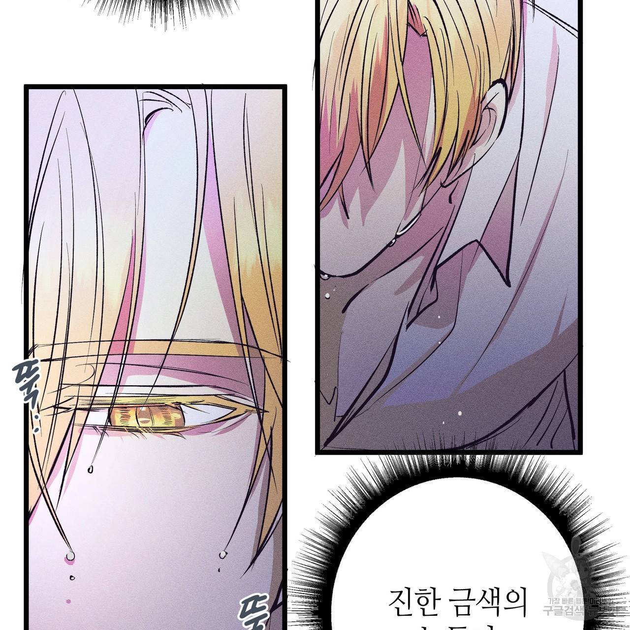황제의 약혼녀로 산다는 것은 76화 69