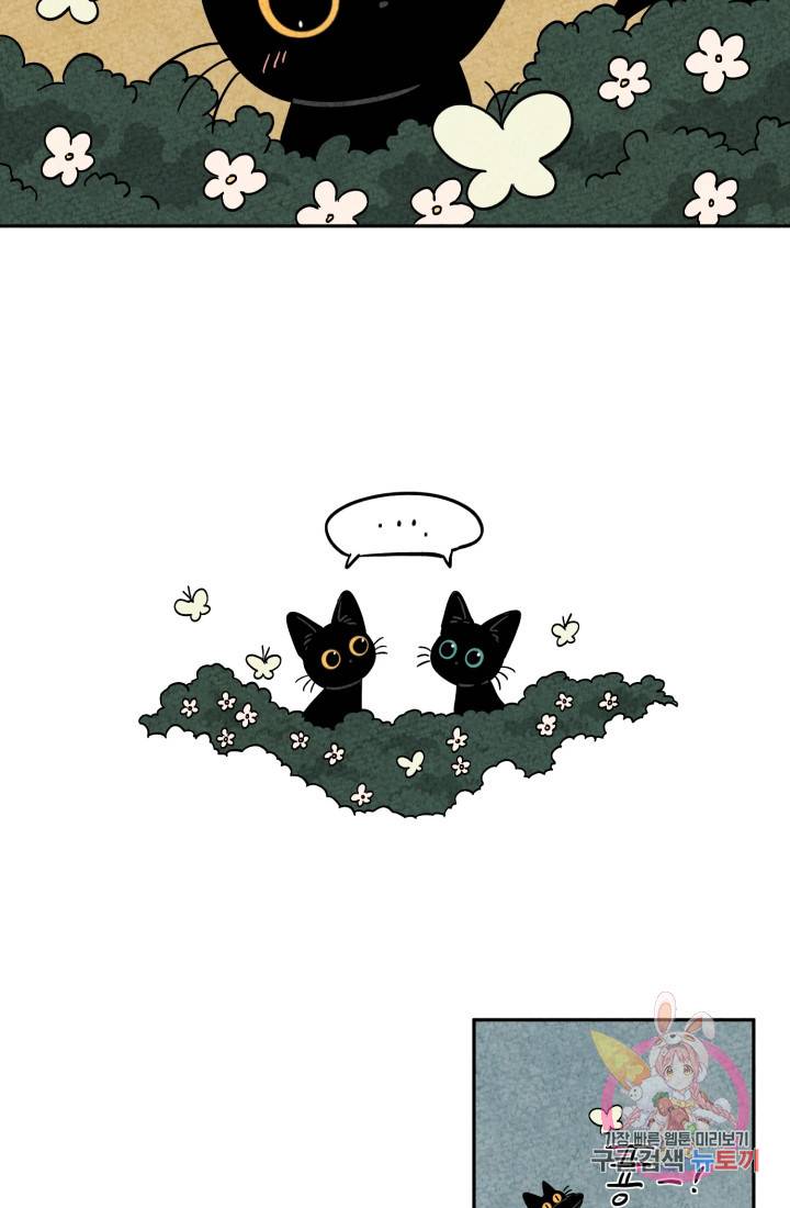 금복이 이야기 다홍이 이야기 35