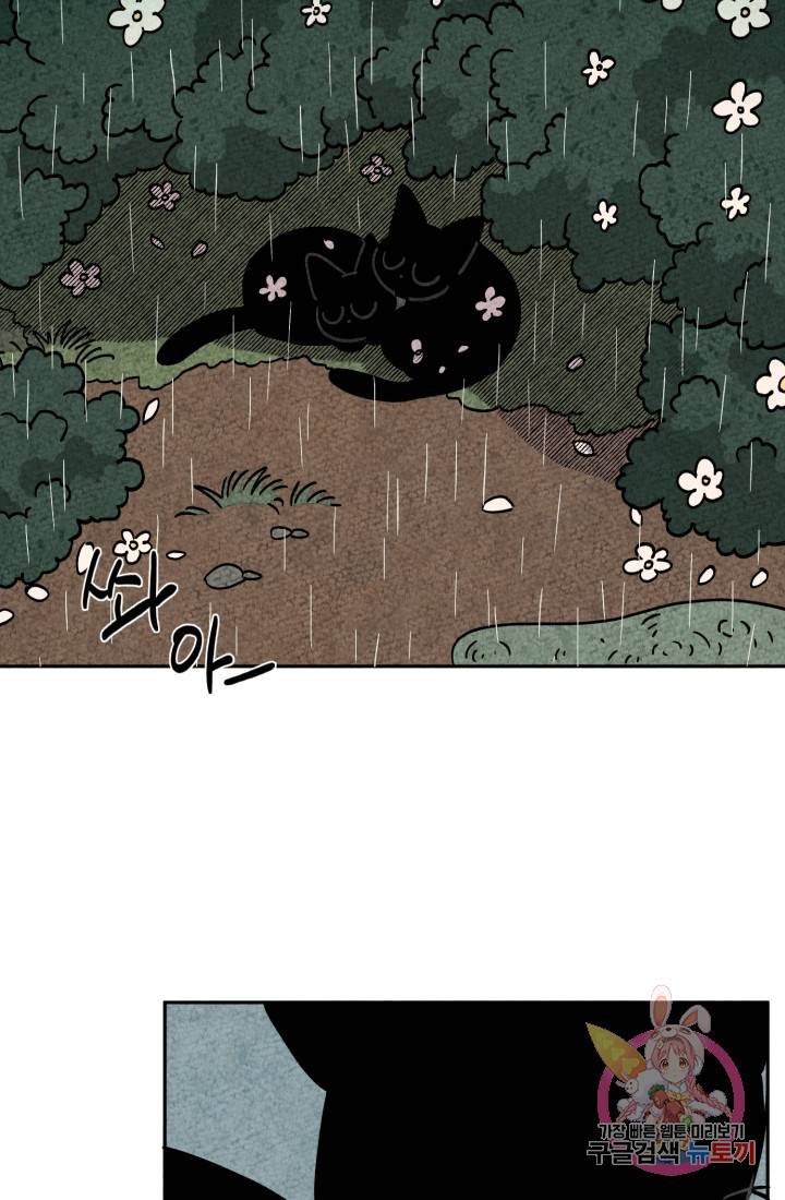 금복이 이야기 다홍이 이야기 37