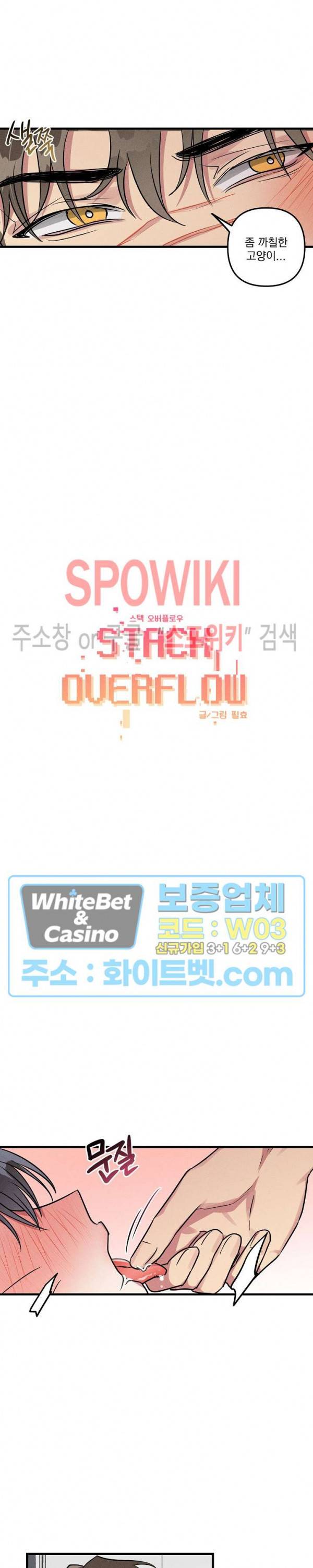 스택 오버플로우 39화 2