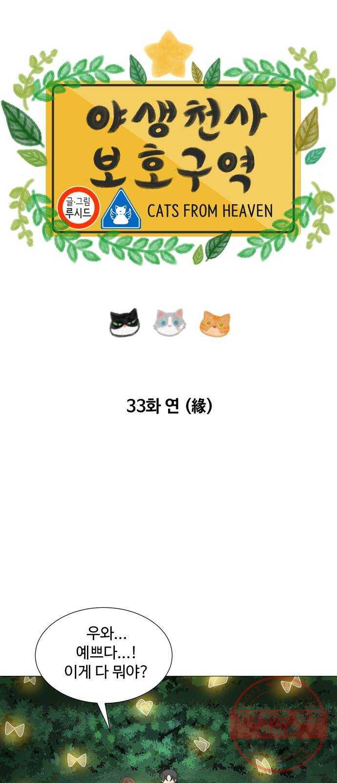 야생천사 보호구역 33화 연(緣) 5