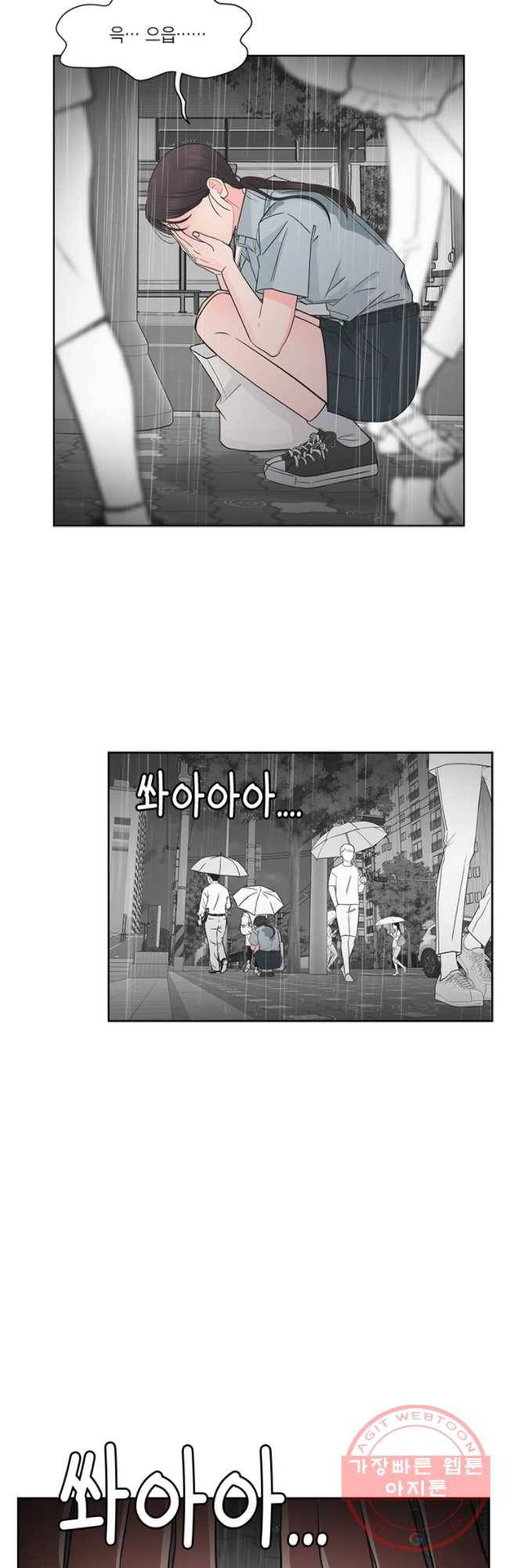 그녀의 앵무새 65화 나만 모르는 이야기 (2) 46