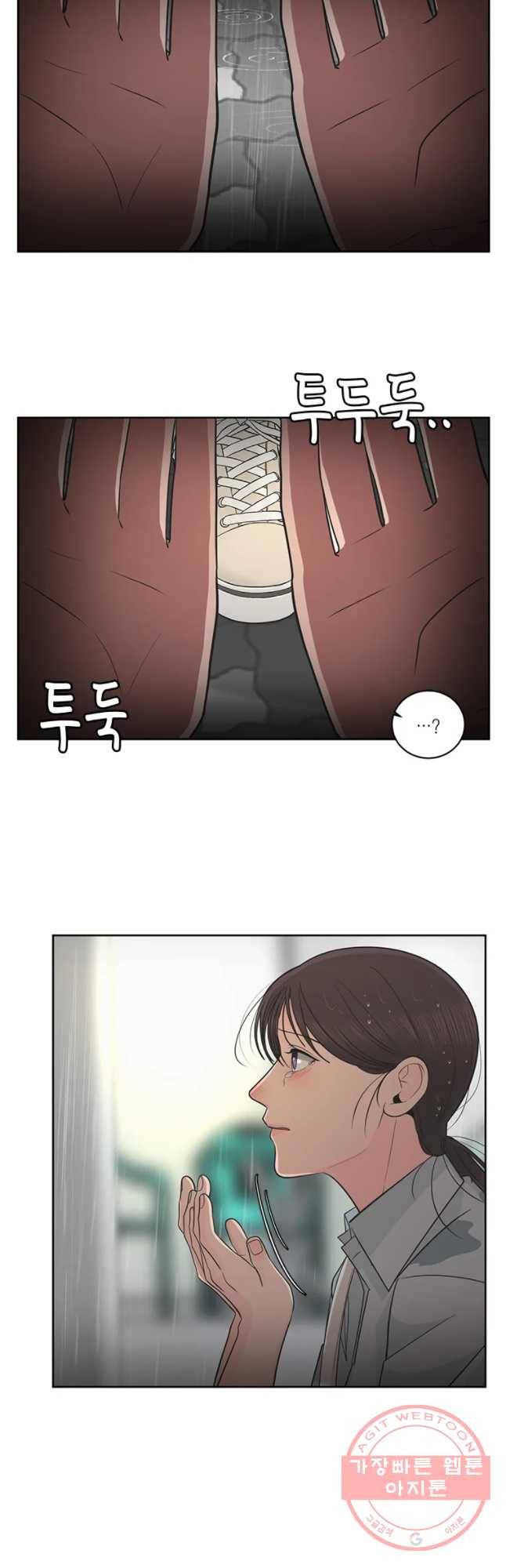 그녀의 앵무새 65화 나만 모르는 이야기 (2) 47