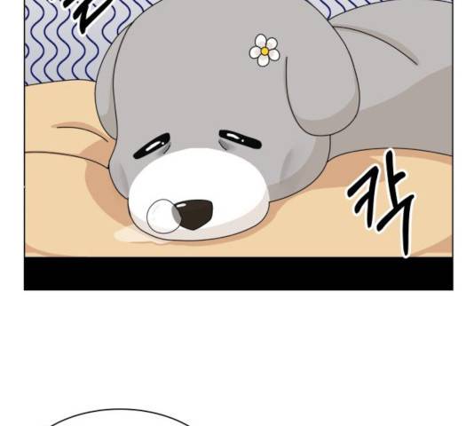 개를 낳았다 시즌2 74화 번외편 2화 18