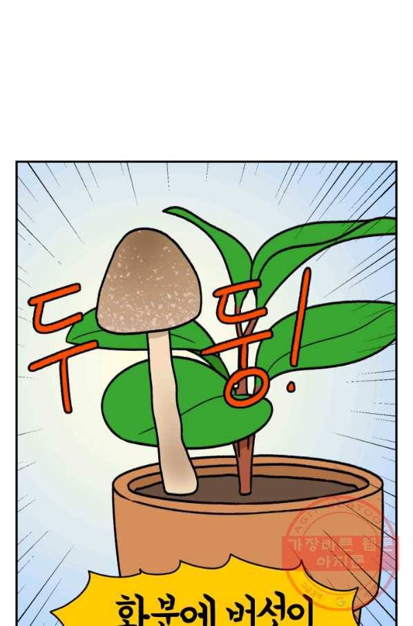 크레이지 가드너 12화 버섯과 곰팡이 2