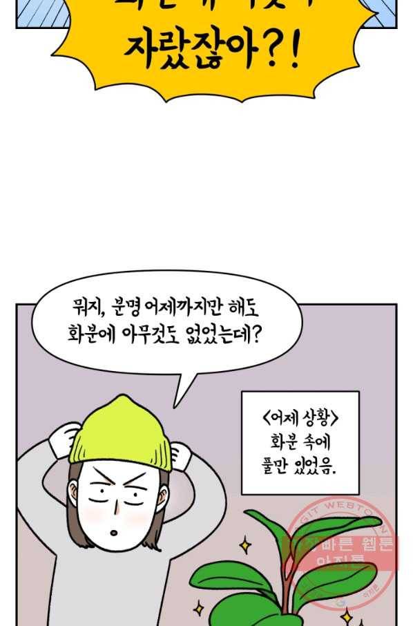 크레이지 가드너 12화 버섯과 곰팡이 3