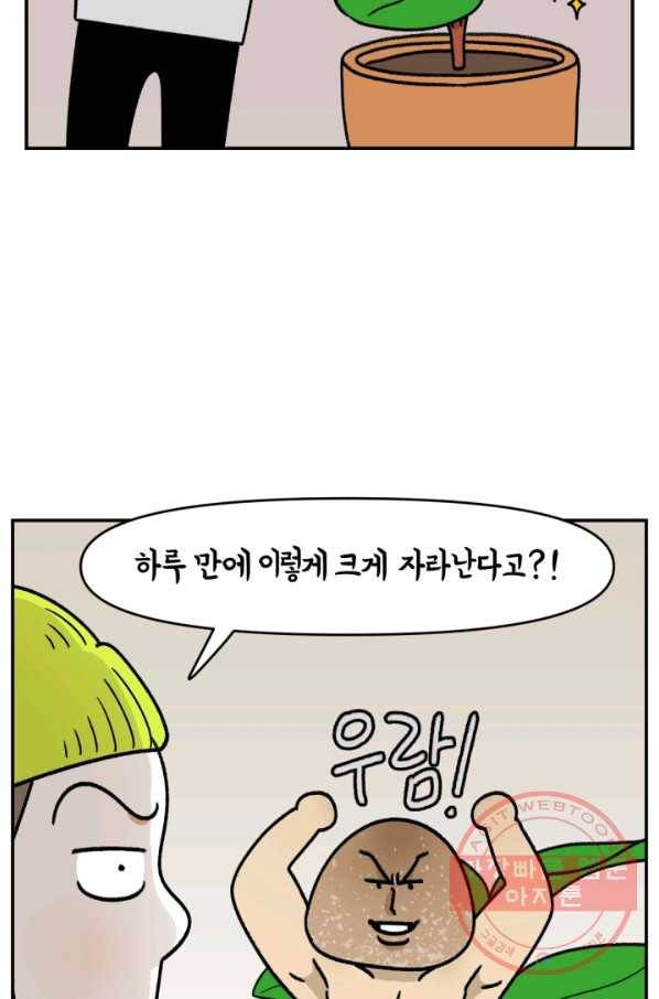 크레이지 가드너 12화 버섯과 곰팡이 4