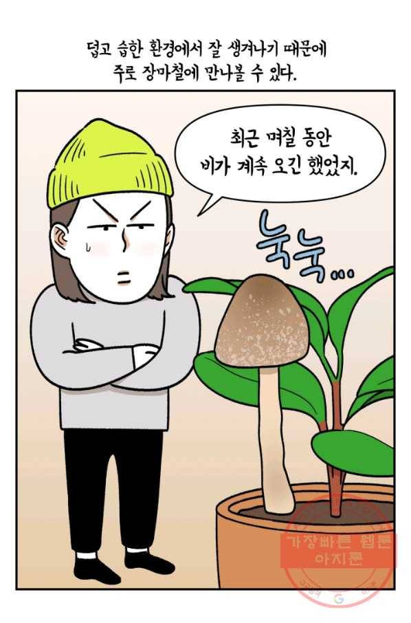크레이지 가드너 12화 버섯과 곰팡이 8