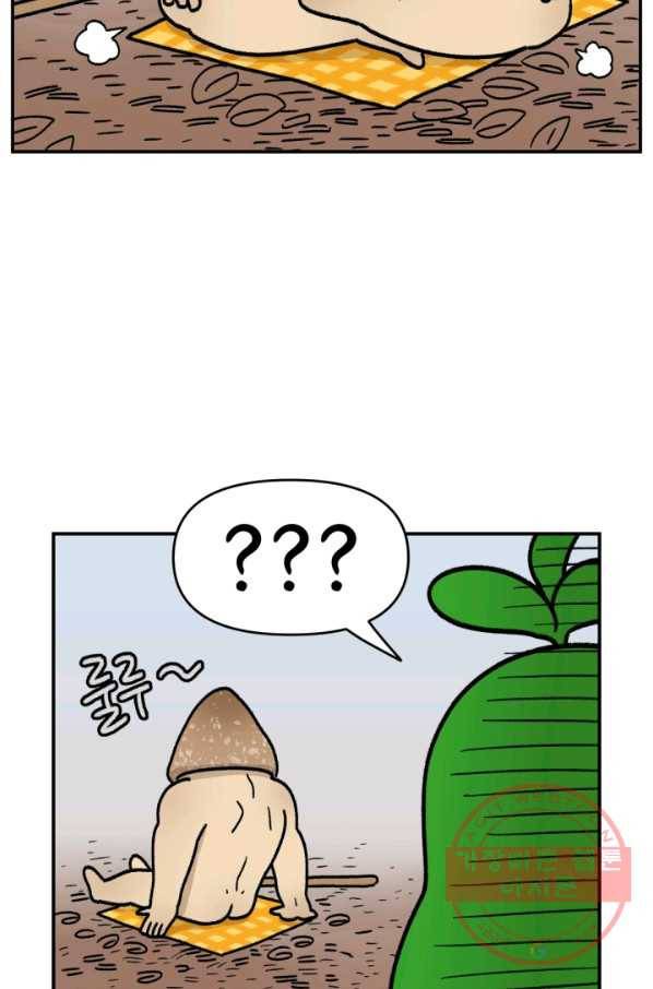 크레이지 가드너 12화 버섯과 곰팡이 11