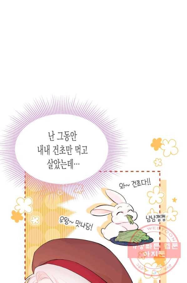 토끼와 흑표범의 공생관계 43화 10