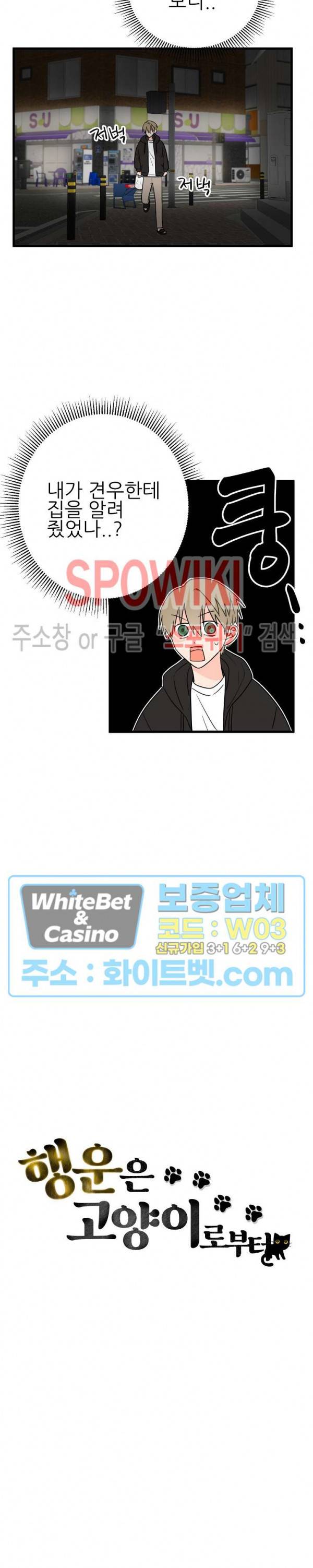 행운은 고양이로부터 5화 2