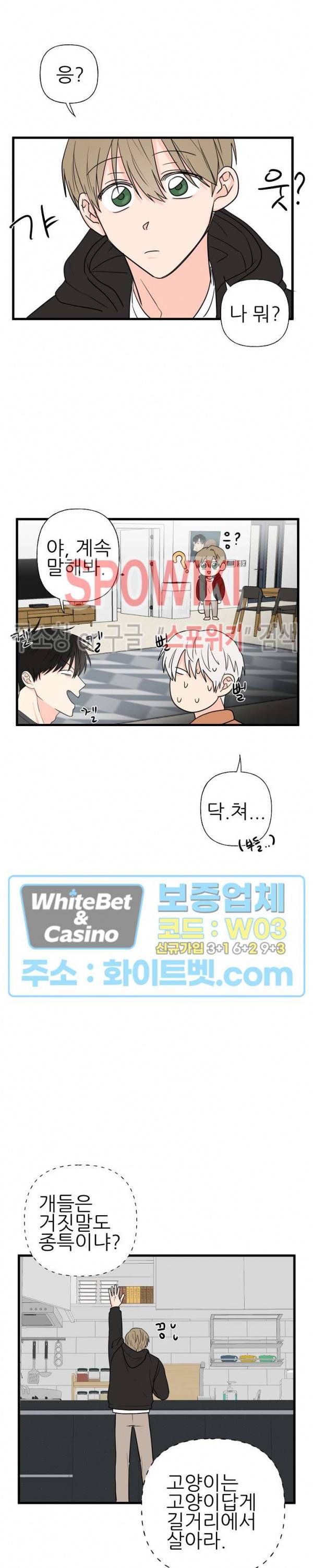 행운은 고양이로부터 5화 5