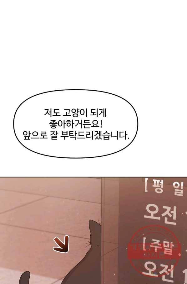 우리집 고양이는 베지테리언 우리집 고양이는 베지테리언이라고 6