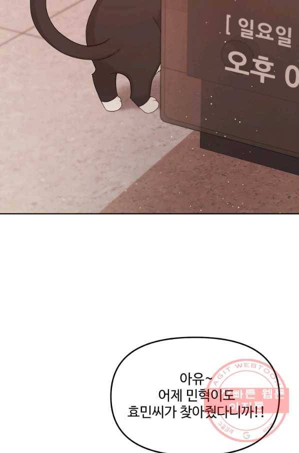 우리집 고양이는 베지테리언 우리집 고양이는 베지테리언이라고 7