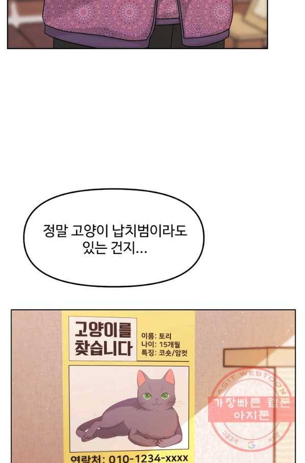 우리집 고양이는 베지테리언 우리집 고양이는 베지테리언이라고 9