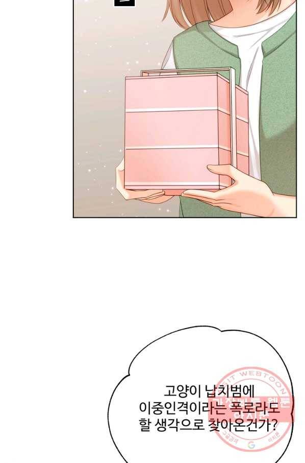 우리집 고양이는 베지테리언 우리집 고양이는 베지테리언이라고 13