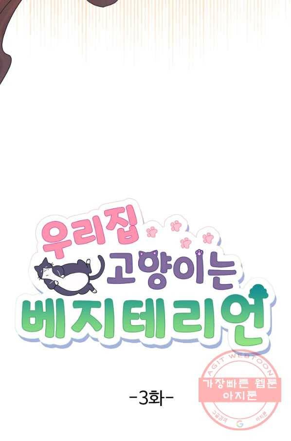 우리집 고양이는 베지테리언 우리집 고양이는 베지테리언이라고 21