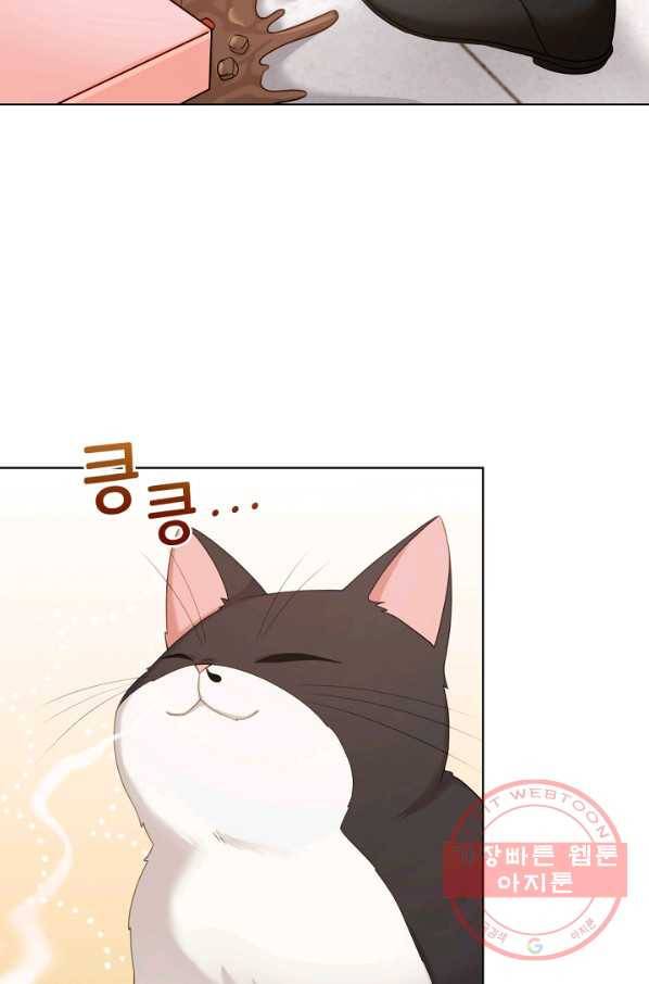 우리집 고양이는 베지테리언 우리집 고양이는 베지테리언이라고 23