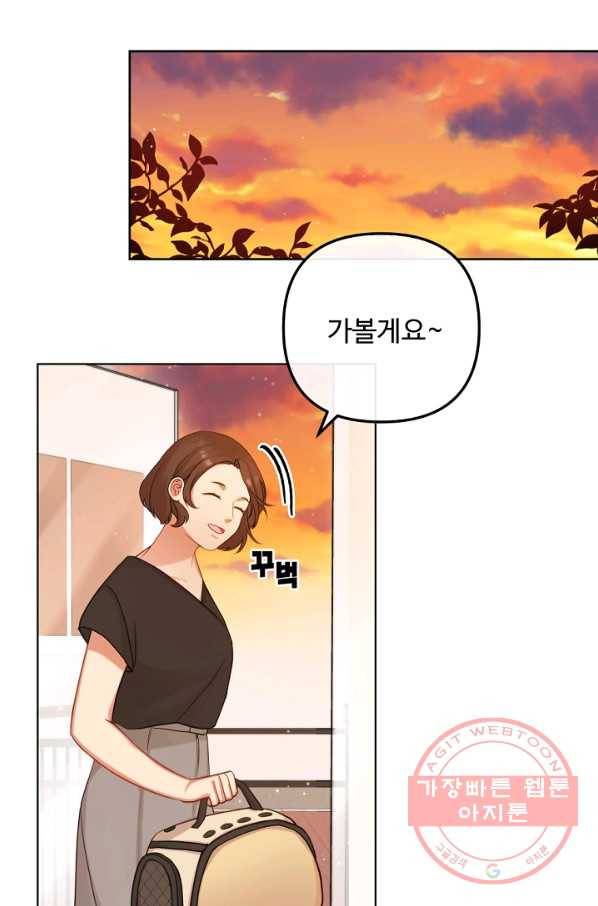 우리집 고양이는 베지테리언 우리집 고양이는 베지테리언이라고 43