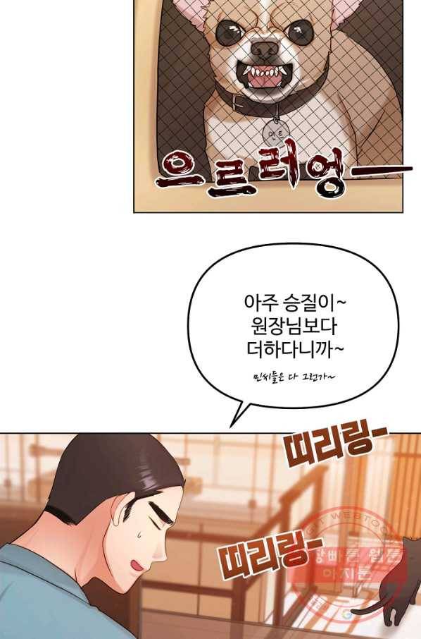 우리집 고양이는 베지테리언 우리집 고양이는 베지테리언이라고 45