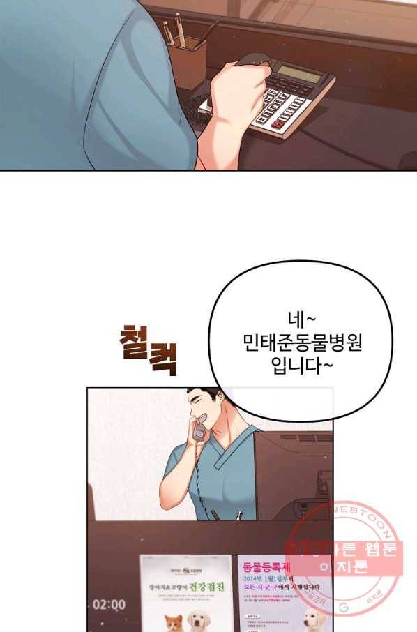 우리집 고양이는 베지테리언 우리집 고양이는 베지테리언이라고 46
