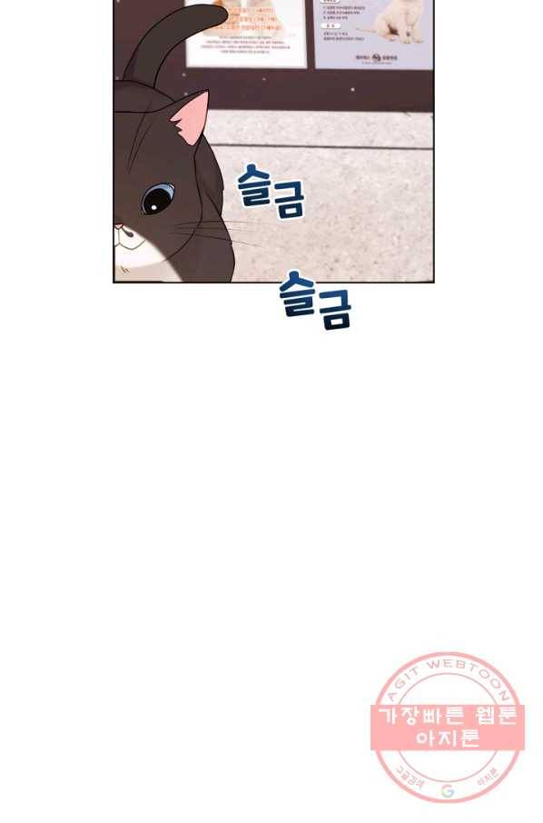 우리집 고양이는 베지테리언 우리집 고양이는 베지테리언이라고 47