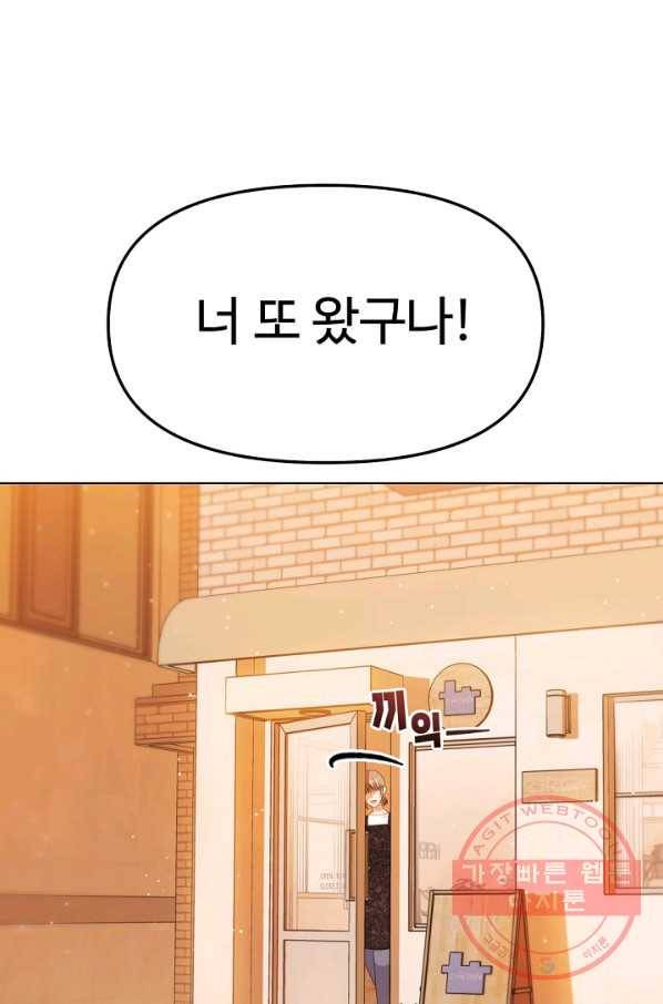 우리집 고양이는 베지테리언 우리집 고양이는 베지테리언이라고 48