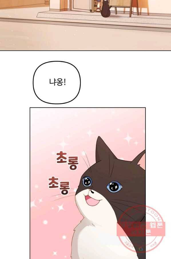우리집 고양이는 베지테리언 우리집 고양이는 베지테리언이라고 49