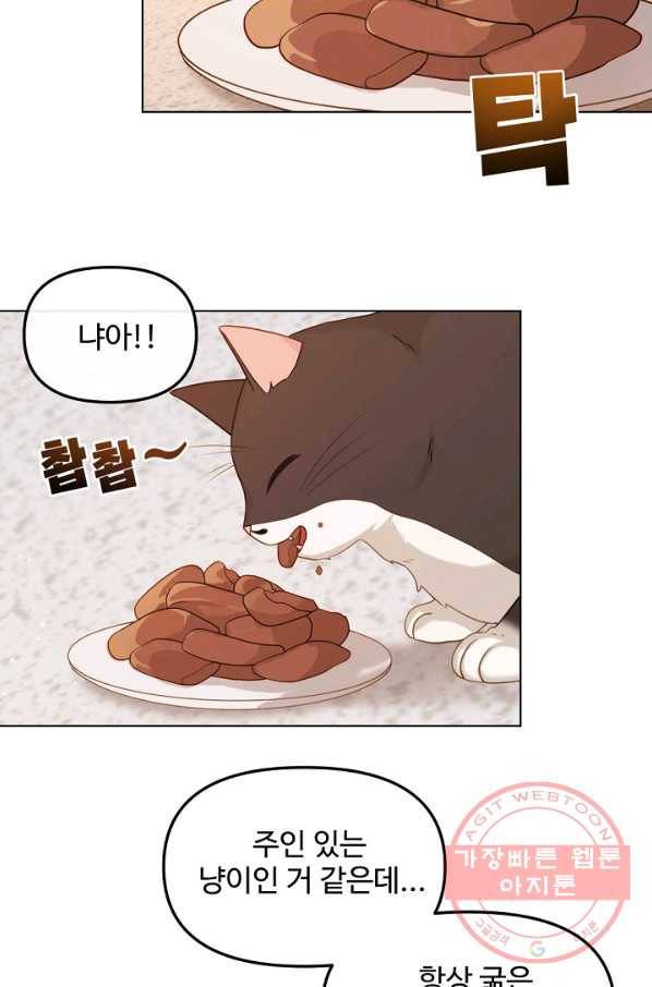우리집 고양이는 베지테리언 우리집 고양이는 베지테리언이라고 52
