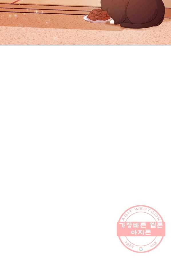 우리집 고양이는 베지테리언 우리집 고양이는 베지테리언이라고 55