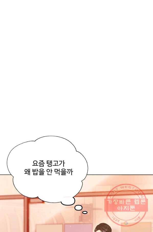 우리집 고양이는 베지테리언 우리집 고양이는 베지테리언이라고 56