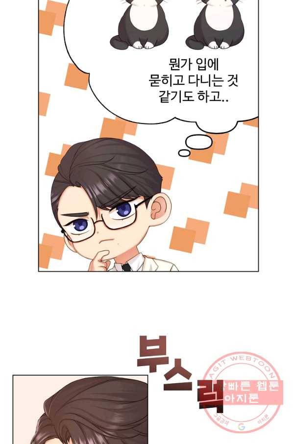 우리집 고양이는 베지테리언 우리집 고양이는 베지테리언이라고 58