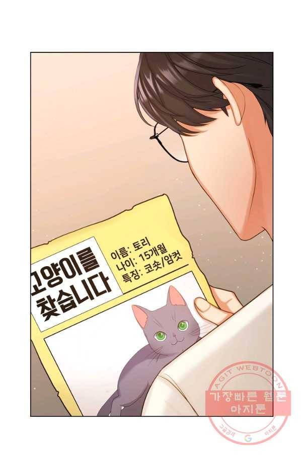 우리집 고양이는 베지테리언 우리집 고양이는 베지테리언이라고 61