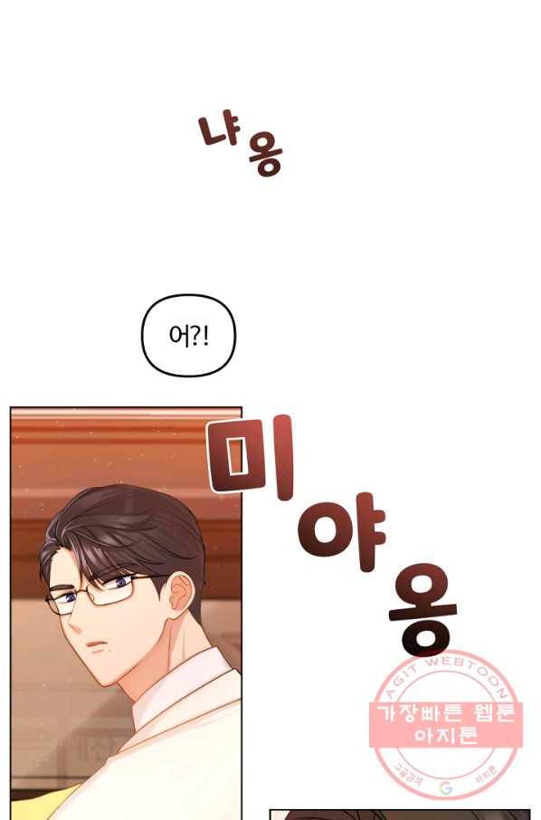 우리집 고양이는 베지테리언 우리집 고양이는 베지테리언이라고 62