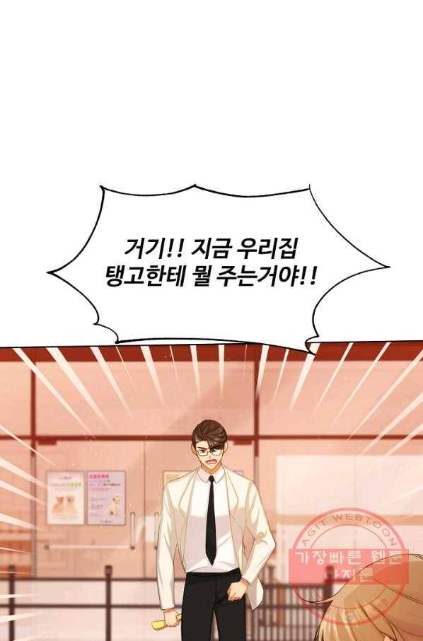 우리집 고양이는 베지테리언 우리집 고양이는 베지테리언이라고 64