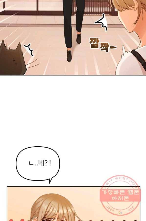 우리집 고양이는 베지테리언 우리집 고양이는 베지테리언이라고 65